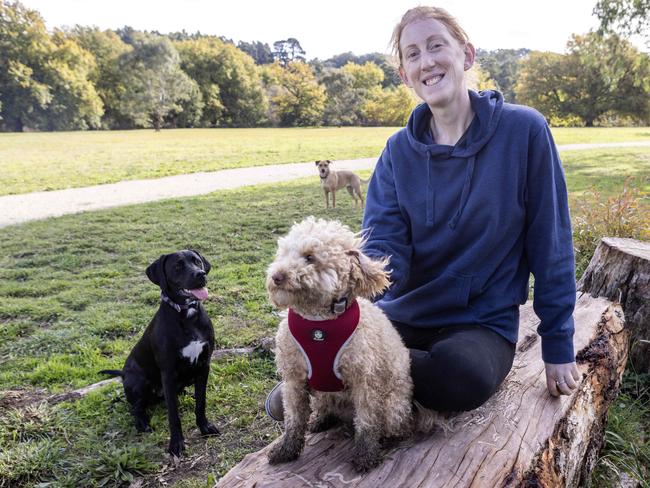 11th of May, 2023: Dog Minder Olivia Graham with some of the dogs at the Balhannah dog park. Picture Kelly Barnes