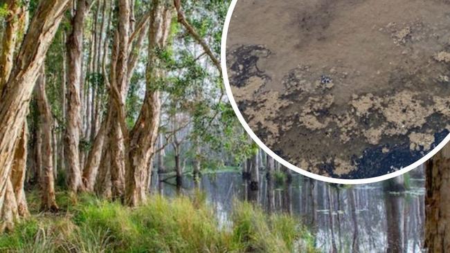 Port Macquarie-Hastings Council is grappling to minimise run-off from the oil dump to a nearby creek reserve and have halted the production of recycled water from the plant.