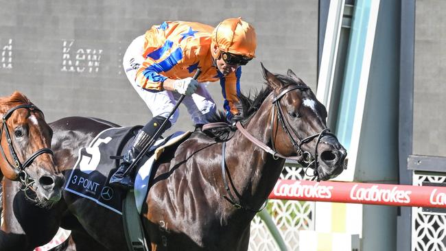 Imperatriz will be eyeing an 11th group 1 victory in Saturday’s TJ Smith Stakes Picture: Reg Ryan/Racing Photos via Getty Images