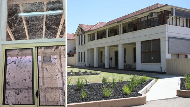 Pirie art for SA Health