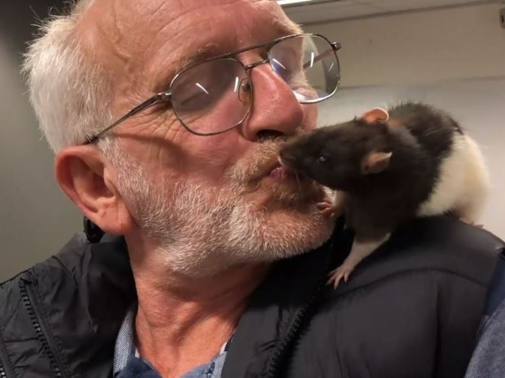 Chris reunited with Lucy. Picture: Lost Pets in NSW/Facebook