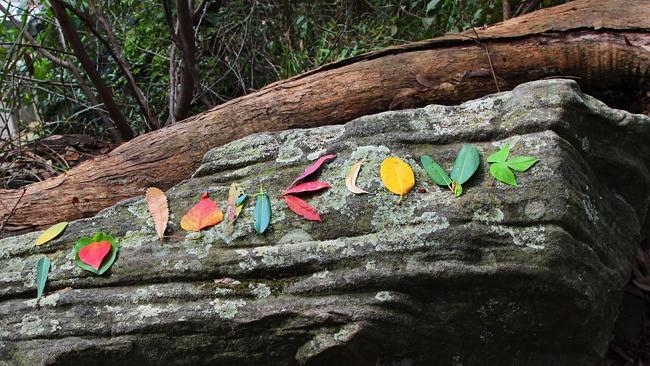 First place 12 years and under Kiara Mok “Colourful leaves of Lane Cove”.