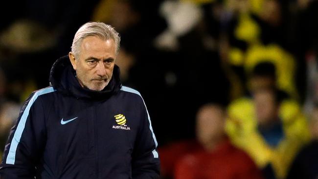 Socceroos coach Bert van Marwijk has named some young talent in his squad.