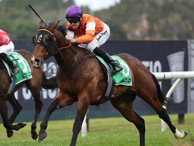 SYDNEY, AUSTRALIA - OCTOBER 12: Josh Parr riding El Castello  wins Race 4 Tab Gloaming Stakes during Sydney Racing at Rosehill Gardens on October 12, 2024 in Sydney, Australia. (Photo by Jeremy Ng/Getty Images)