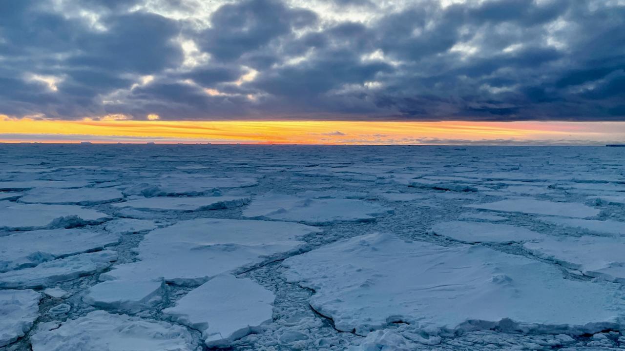 Ice floes in the pack ice. Picture: Gemma Woldendorp