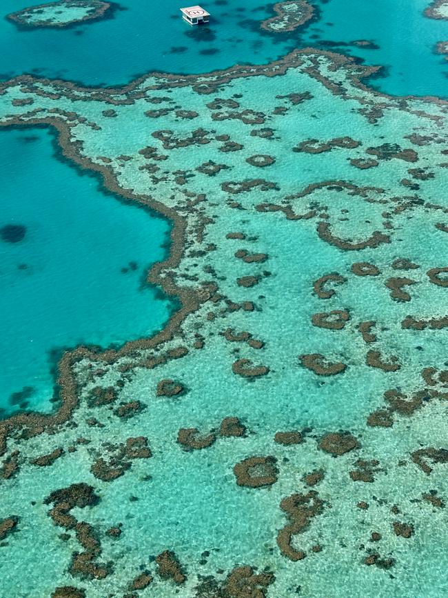 The extraordinary Hardy Reef as seen from a helicopter. Photo: Elizabeth Meryment