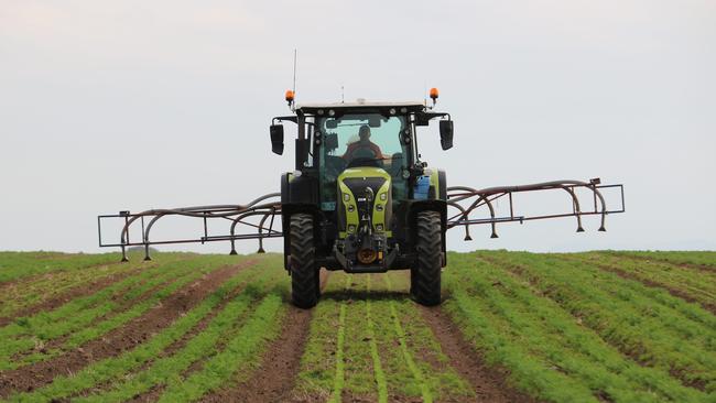 The Claas Arion 600 series in action for seed-breeding company Beja Tasmania.