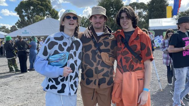 A variety of cow costumes make their way into Groovin the Moo.