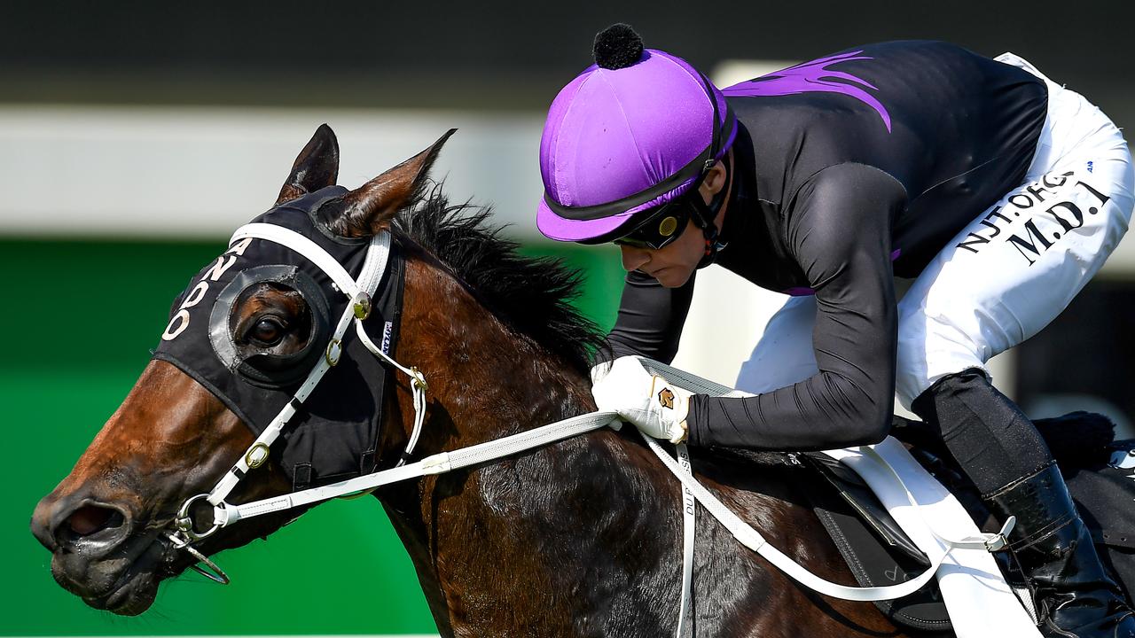 Boomtown Lass will race on this summer after her future as a broodmare was secured. Picture: AAP