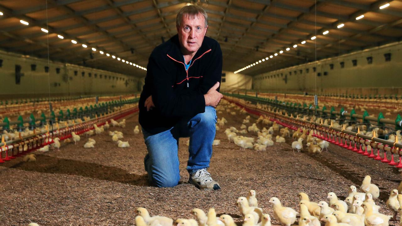 VFF sackings: Germano ousts chicken meat group leaders | The Weekly Times