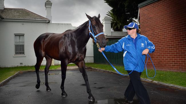 The announcement of Black Caviar's retirement in Caulfield. Strapper Donna Fisher [in blue] is emotional after the announcement.