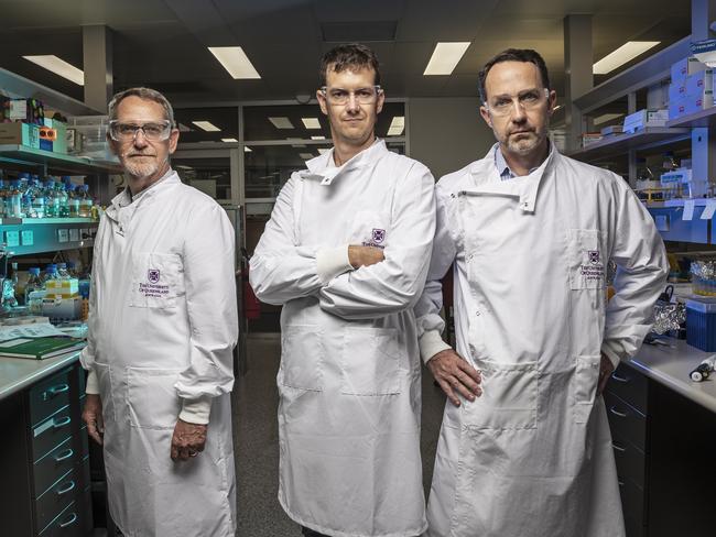 University of Queensland researchers Professor Paul Young, Dr Keith Chappel, Professor Trent Munro.