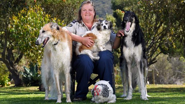 RSPCA Chief Inspector Andrea Lewis with her menagerie of rescued animals: Henry the chook and dogs River, Emm and Stan. Picture: Tom Huntley