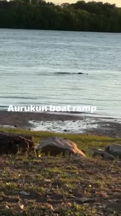 Aurukun croc spotted hanging at the local boat ramp