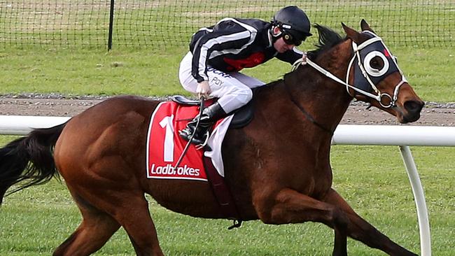 Jungle Edge was back to his frontrunning best at Sandown Lakeside. Picture: AAP