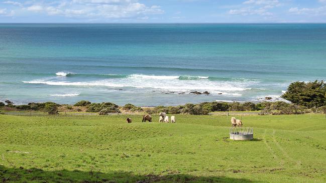 Check the surf without leaving home.