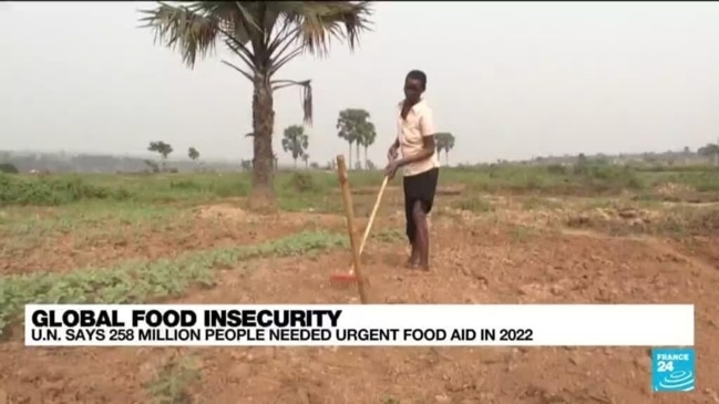 Global food insecurity