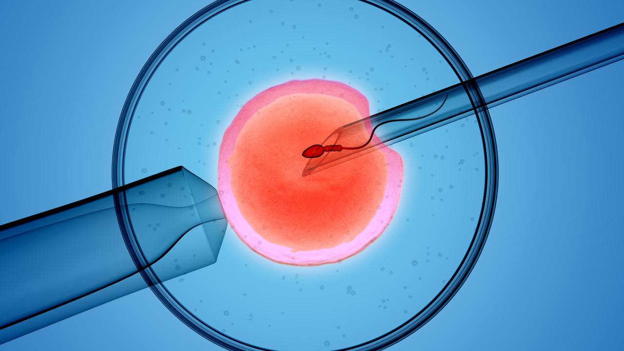 IVF families blocked from own embryos in cruel twist