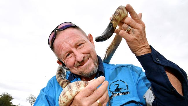 Tony Harrison, who almost died after being bitten by an eastern brown snake. Picture, John Gass