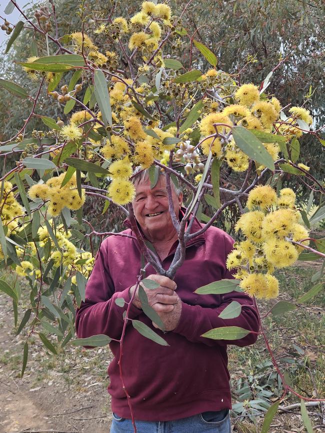 John Toll has spent decades revegetating his property to build biodiversity. Picture: Supplied