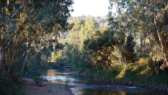 Costs of the Murray Darling Basin Plan could blow out by almost half a billion, the Productivity Commission warns. Picture: Andy Rogers