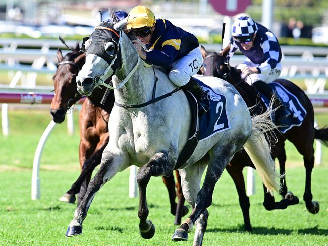 Luncies breaks through for his first win in more than two years under jockey Tim Clark. Picture: Grant Peters - Trackside Photography