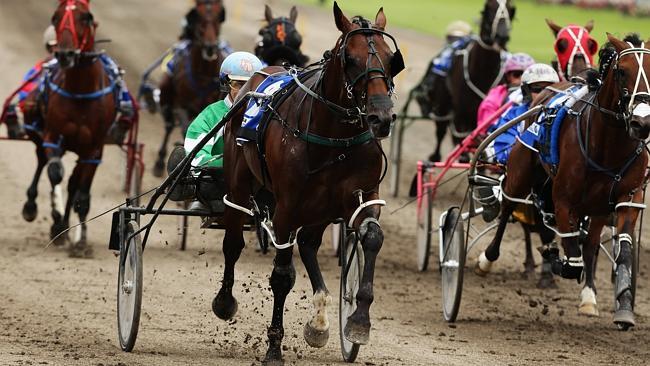 Gavin Lang drives Major Secret to victory during Race 5 at Menangle Park, Sydney. Pic Bre