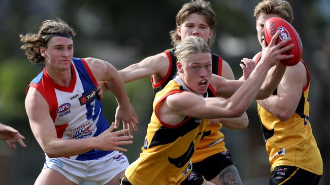 Hayden Young in action for the Dandenong Stingrays in the NAB League.