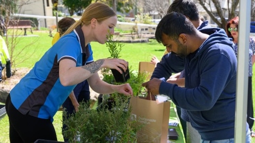 Potted plants packed for residents at nursery. Picture: Camden Council