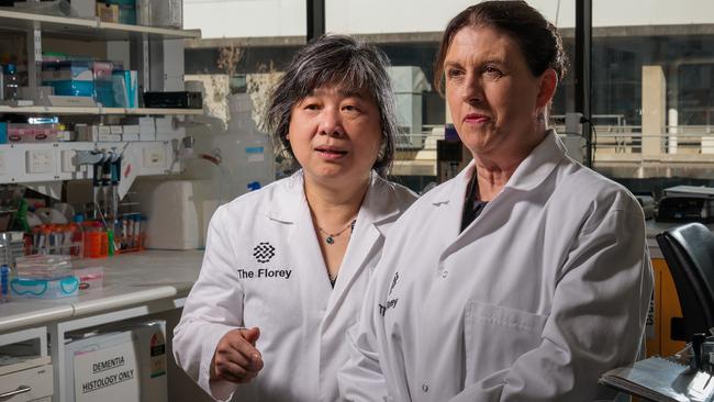 Florey Institute researchers Wah Chin Boon, left, and Anne-Louise Ponsonby at the University of Melbourne. Picture: Nadir Kinani