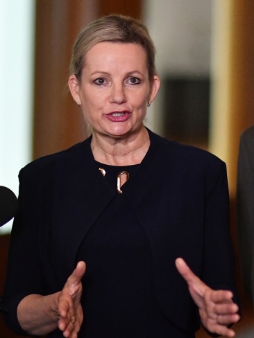 Sussan Ley blames Daniel Andrews for the energy crisis sweeping the east coast of Australia. Picture: Sam Mooy/Getty Images