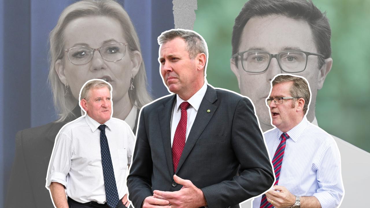 ‘Sort it out’: Hamilton urges unity as ex-MPs react to Coalition split