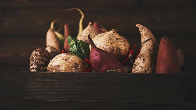 Did you dislike Taro on your first experience? Cairnseye gardening expert Yvonne Cunningham explains why you should give it another go. Picture: Istock.