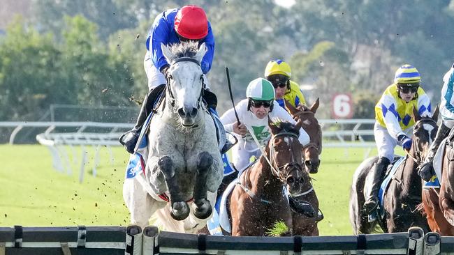 The Cunning Fox launches over a hurdle on his way to winning the Australian Hurdle. Picture: Getty Images