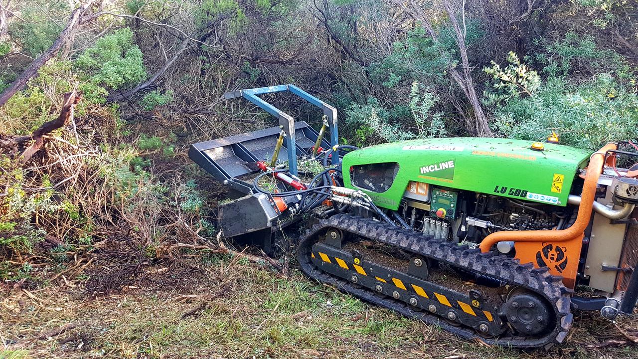 Green climber mower online price