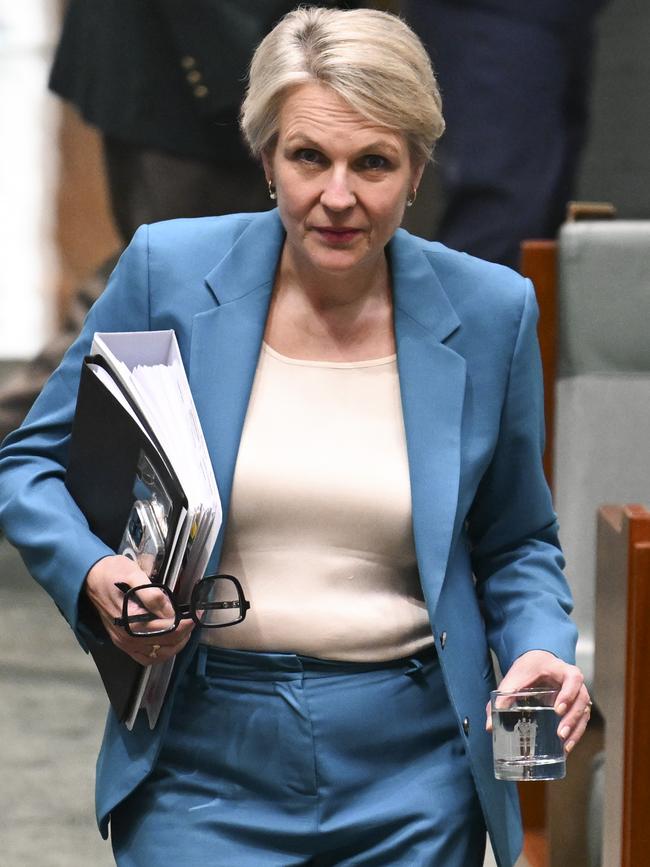 Minister for the Environment and Water of Australia, Tanya Plibersek. Picture: NewsWire / Martin Ollman