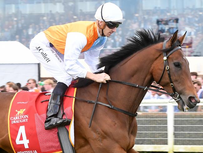 Montefilia on the way to the barriers prior to the running of the Carlton Draught Caulfield Cup at Caulfield Racecourse on October 15, 2022 in Caulfield, Australia. (Photo by Brett Holburt/Racing Photos via Getty Images)