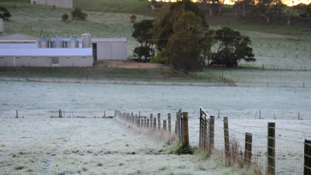 Frost on the ground in Meadows. Picture: Sam Wundke