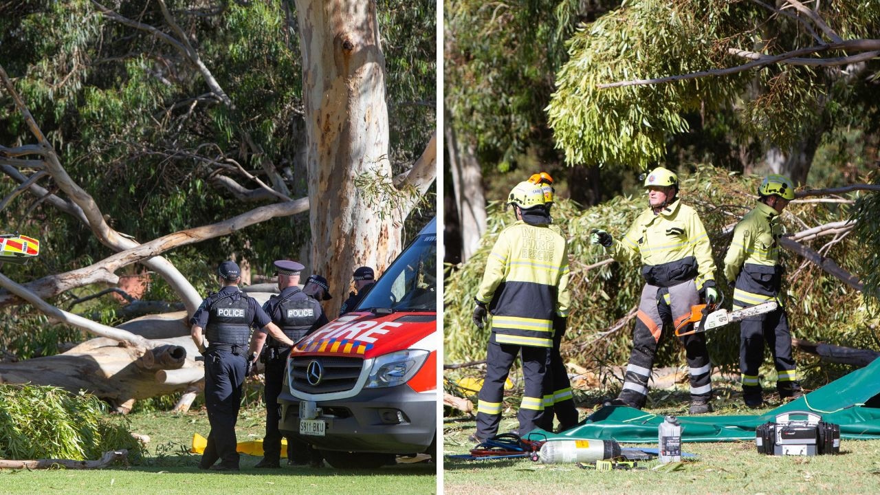 The young woman was killed while sitting under a tree in the city park.