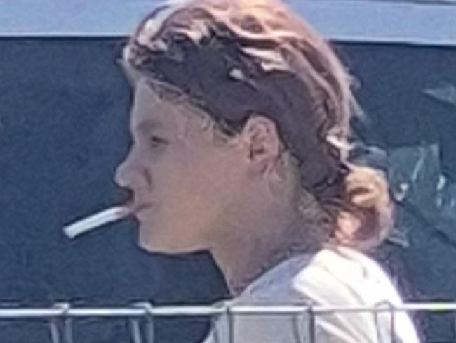Single mum accused of fraud and attempted theft