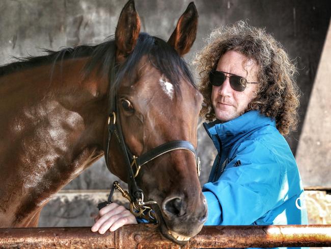 Ciaron Maher’s Jameka is the only Aussie-bred galloper. Picture: Colleen Petch.