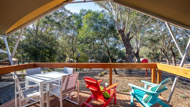 Views from a glamping tent at Port Stephens Koala Sanctuary. Picture: Brent Mail
