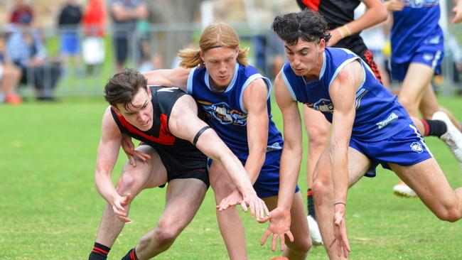 Action from the 97th Rostrevor v Sacred Heart intercol. Picture: Brenton Edwards