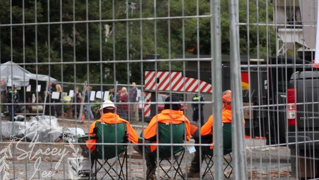 The Warburton tree protest on Wednesday. Picture: Stacey Clarke