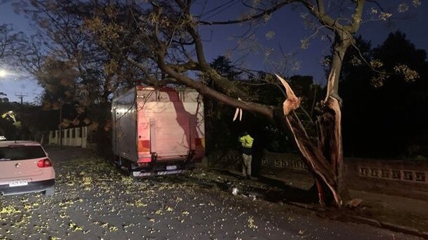 A truck has taken out a tree on a Glenunga street. Picture: Ryan Piekarski