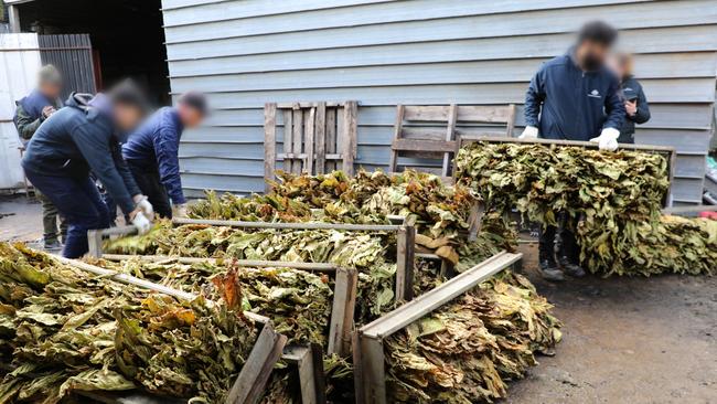 Investigators uncover illegal tobacco operation at Broadford. Picture: David Hurley