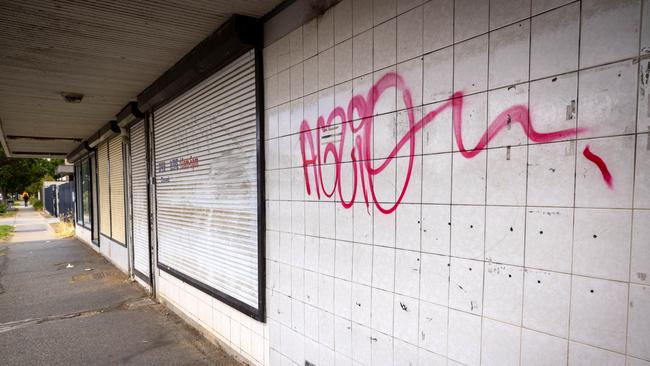 Scenes around Hanson Road and Sixth Ave. Picture: Emma Brasier