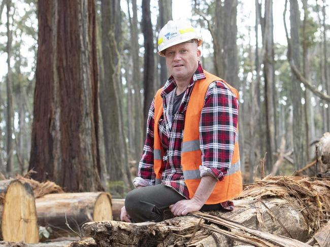 NEWS: Wombat Forest Firewood CuttersWombat Forest Firewood CuttersPICTURED: Dale Tiley in the wombat state forest.Picture: Zoe Phillips