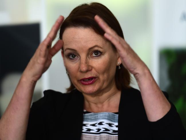 Federal Minister for Health Sussan Ley has resigned from the frontbench. Picture: Evan Morgan