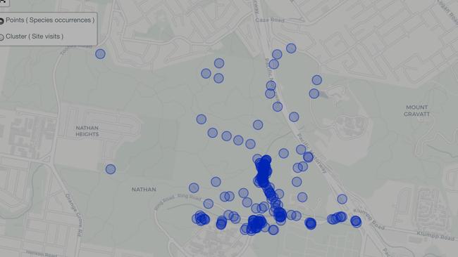 This map shows the abundance of koalas in different parts of Toohey Forest.